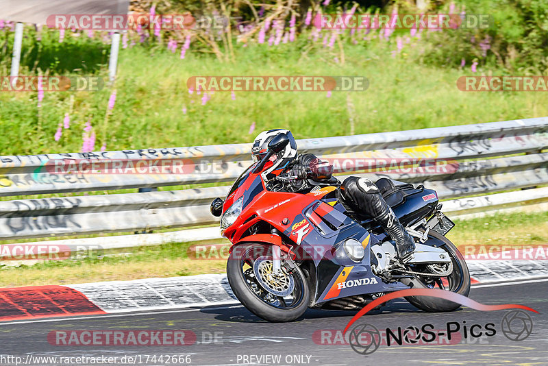 Bild #17442666 - Touristenfahrten Nürburgring Nordschleife (19.06.2022)