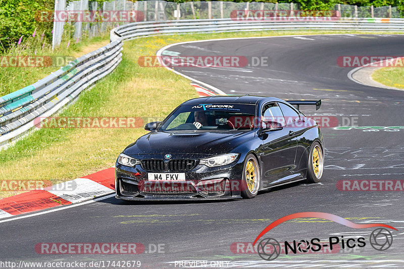 Bild #17442679 - Touristenfahrten Nürburgring Nordschleife (19.06.2022)