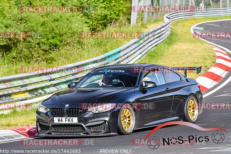 Bild #17442683 - Touristenfahrten Nürburgring Nordschleife (19.06.2022)