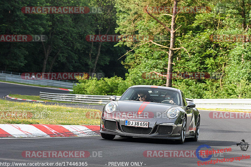 Bild #17446365 - Touristenfahrten Nürburgring Nordschleife (19.06.2022)