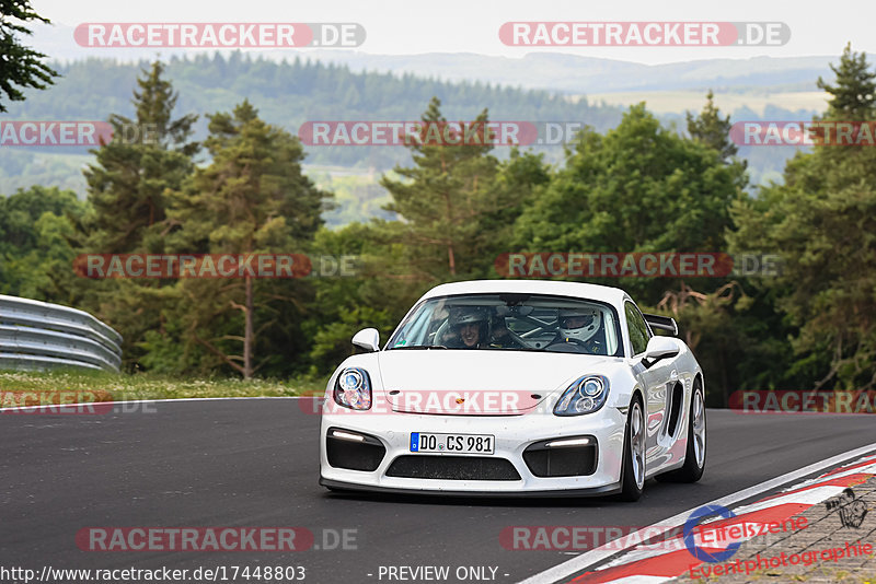 Bild #17448803 - Touristenfahrten Nürburgring Nordschleife (19.06.2022)