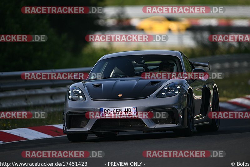 Bild #17451423 - Touristenfahrten Nürburgring Nordschleife (19.06.2022)