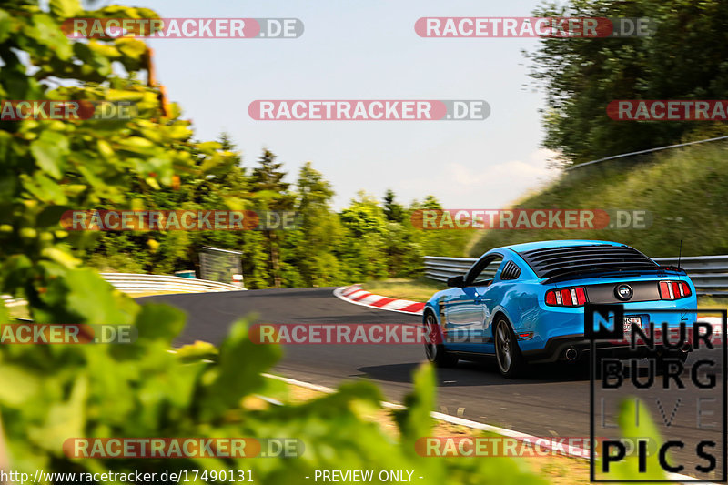 Bild #17490131 - Touristenfahrten Nürburgring Nordschleife (19.06.2022)