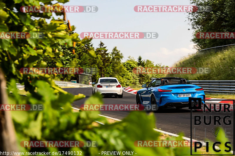 Bild #17490132 - Touristenfahrten Nürburgring Nordschleife (19.06.2022)