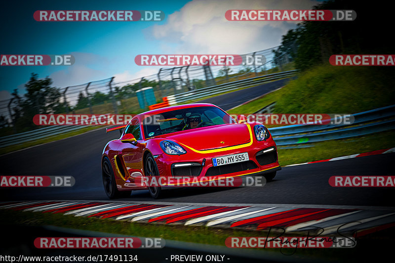 Bild #17491134 - Touristenfahrten Nürburgring Nordschleife (20.06.2022)