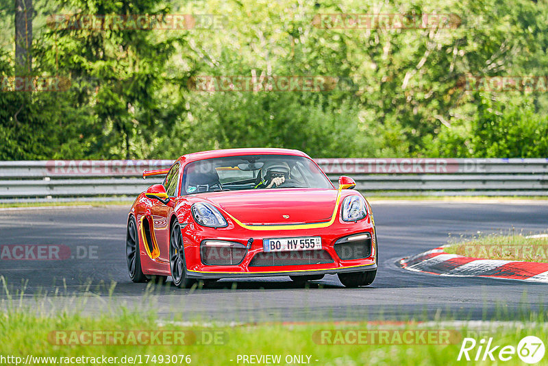 Bild #17493076 - Touristenfahrten Nürburgring Nordschleife (20.06.2022)