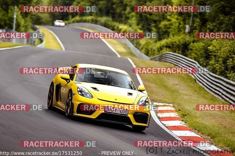 Bild #17531250 - Touristenfahrten Nürburgring Nordschleife (26.06.2022)