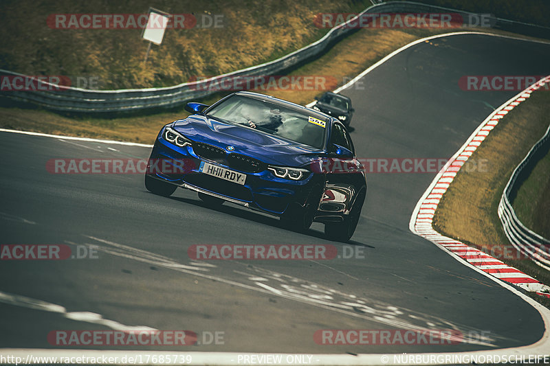 Bild #17685739 - Touristenfahrten Nürburgring Nordschleife (03.07.2022)