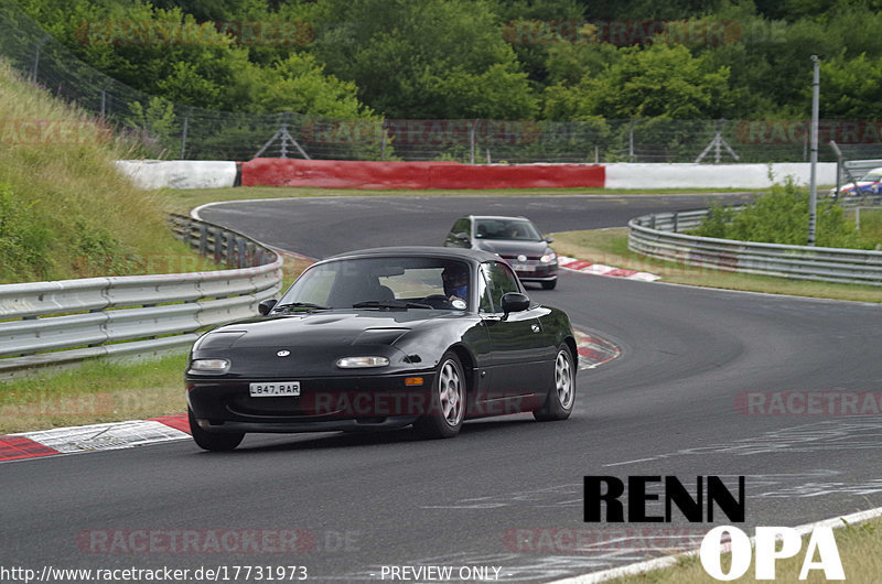 Bild #17731973 - Touristenfahrten Nürburgring Nordschleife (10.07.2022)