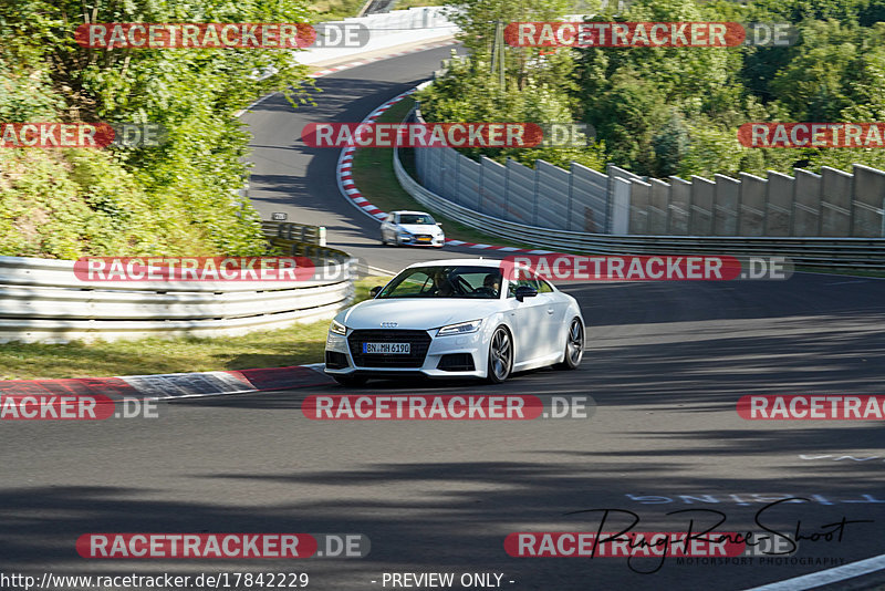 Bild #17842229 - Touristenfahrten Nürburgring Nordschleife (13.07.2022)