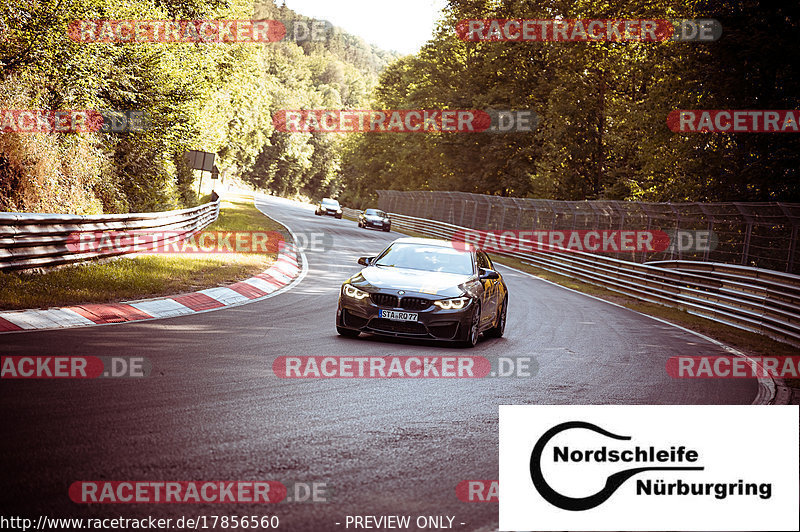 Bild #17856560 - Touristenfahrten Nürburgring Nordschleife (15.07.2022)