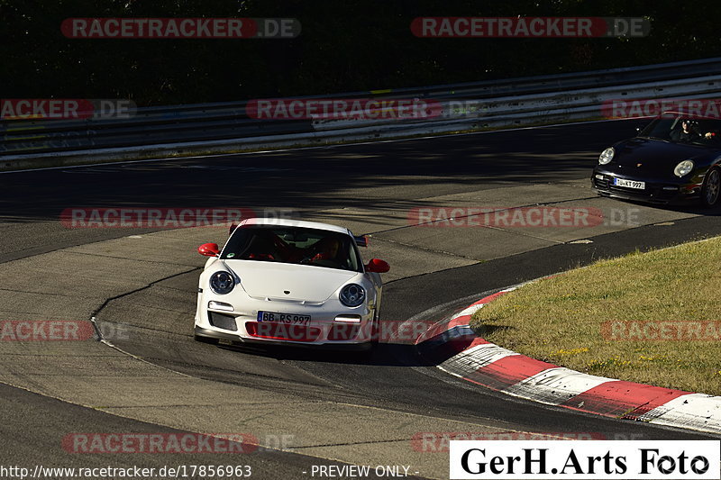 Bild #17856963 - Touristenfahrten Nürburgring Nordschleife (15.07.2022)