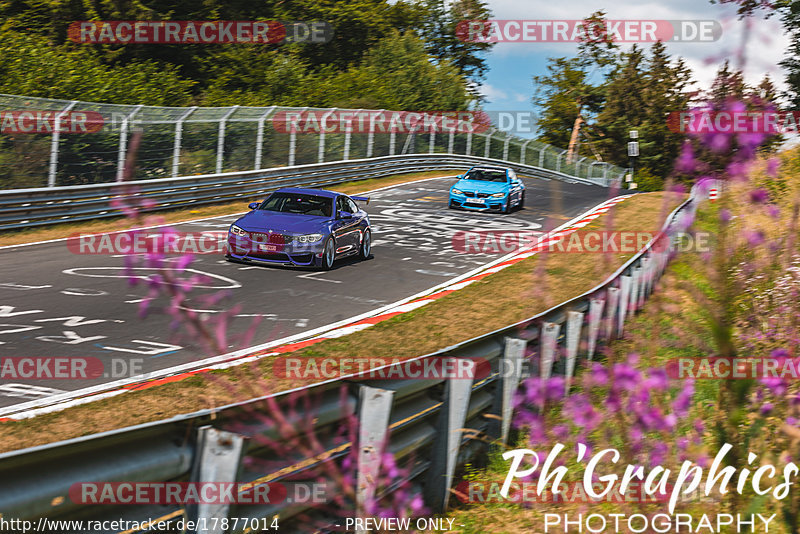 Bild #17877014 - Touristenfahrten Nürburgring Nordschleife (16.07.2022)