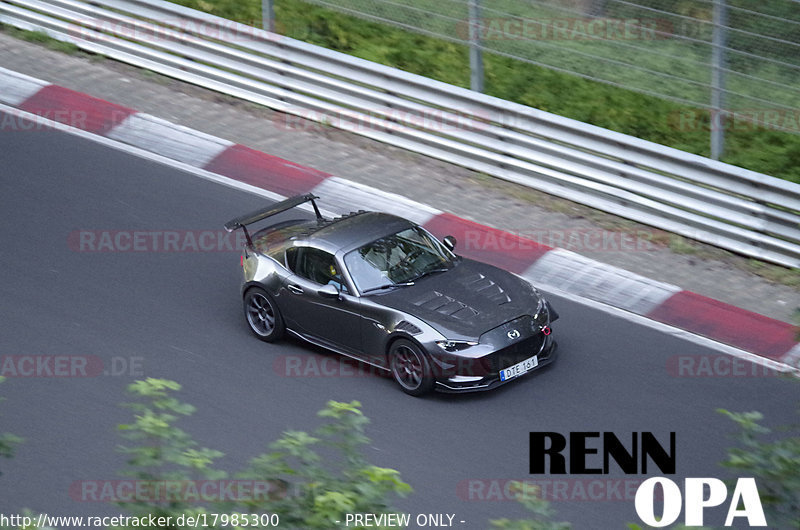 Bild #17985300 - Touristenfahrten Nürburgring Nordschleife (18.07.2022)