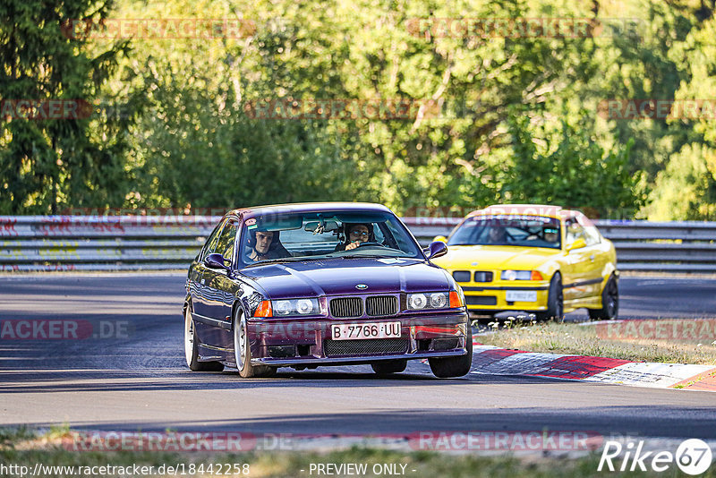 Bild #18442258 - Touristenfahrten Nürburgring Nordschleife (11.08.2022)