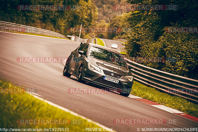 Bild #19229531 - Touristenfahrten Nürburgring Nordschleife (25.09.2022)