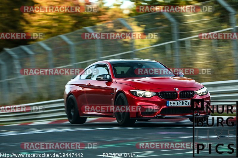 Bild #19447442 - Touristenfahrten Nürburgring Nordschleife (04.10.2022)