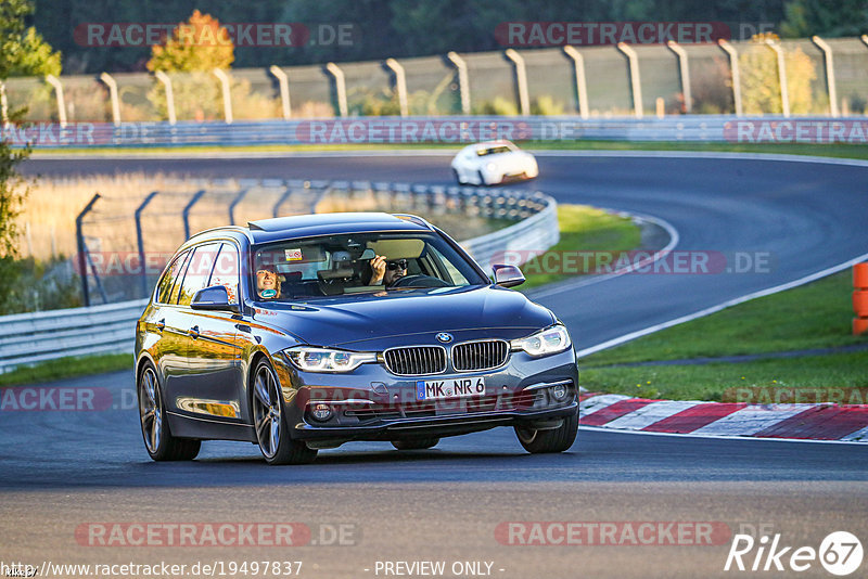 Bild #19497837 - Touristenfahrten Nürburgring Nordschleife (09.10.2022)