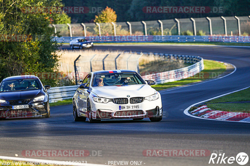 Bild #19509073 - Touristenfahrten Nürburgring Nordschleife (11.10.2022)