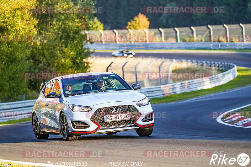 Bild #19509531 - Touristenfahrten Nürburgring Nordschleife (11.10.2022)