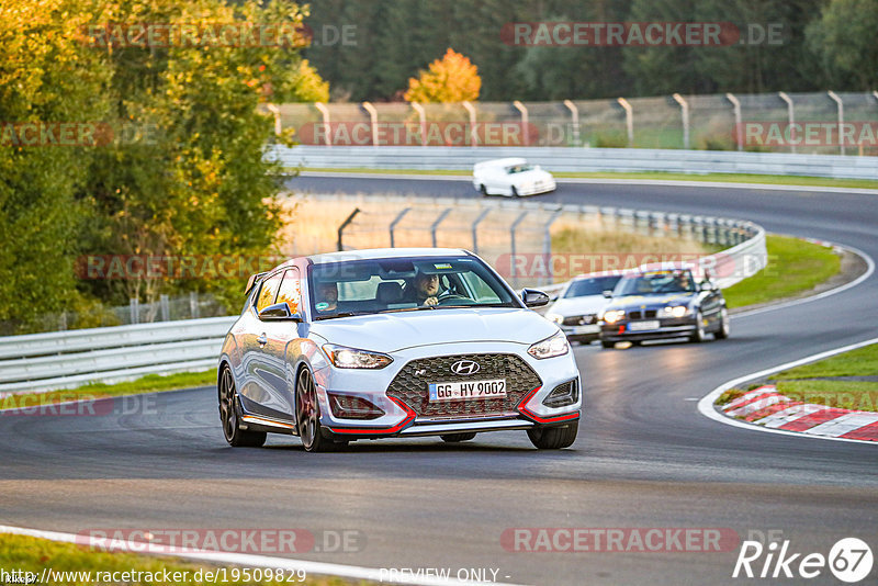 Bild #19509829 - Touristenfahrten Nürburgring Nordschleife (11.10.2022)