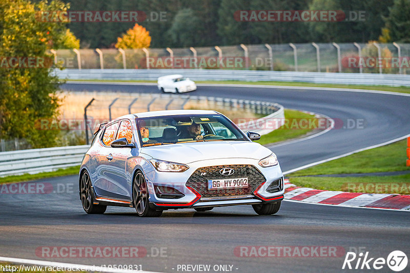 Bild #19509831 - Touristenfahrten Nürburgring Nordschleife (11.10.2022)