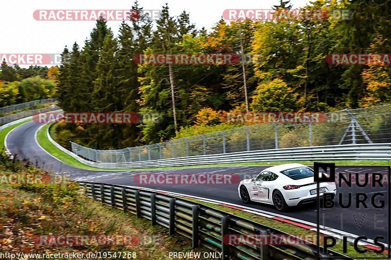 Bild #19547268 - Touristenfahrten Nürburgring Nordschleife (15.10.2022)