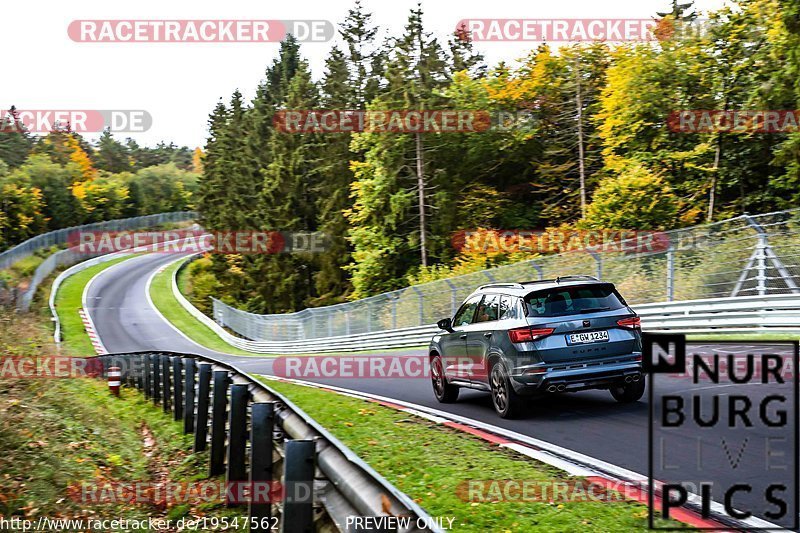 Bild #19547562 - Touristenfahrten Nürburgring Nordschleife (15.10.2022)