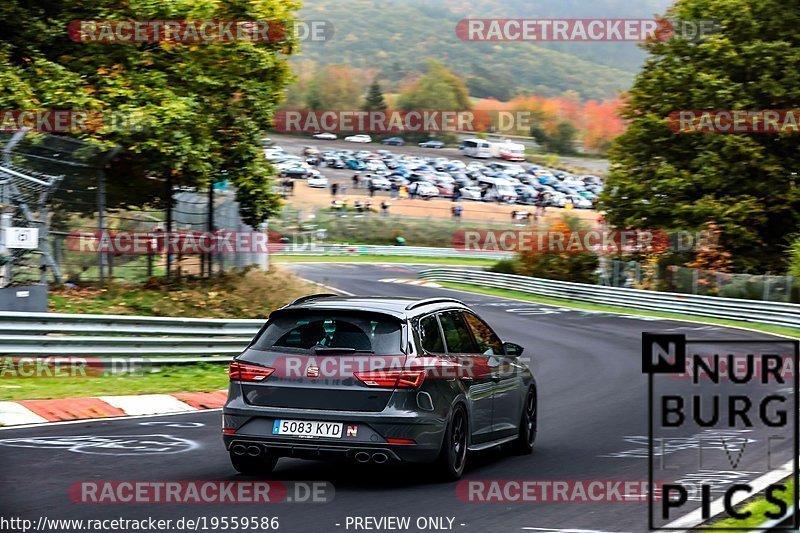 Bild #19559586 - Touristenfahrten Nürburgring Nordschleife (15.10.2022)