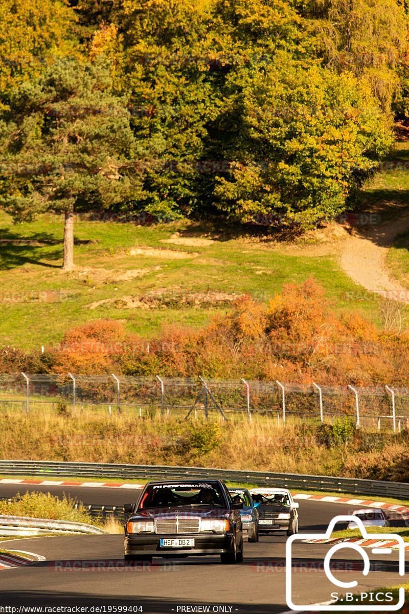 Bild #19599404 - Touristenfahrten Nürburgring Nordschleife (16.10.2022)