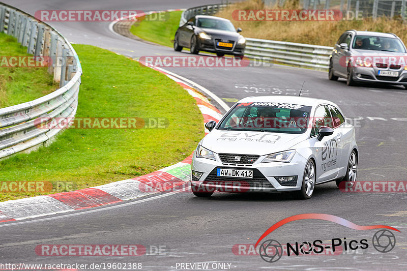 Bild #19602388 - Touristenfahrten Nürburgring Nordschleife (16.10.2022)