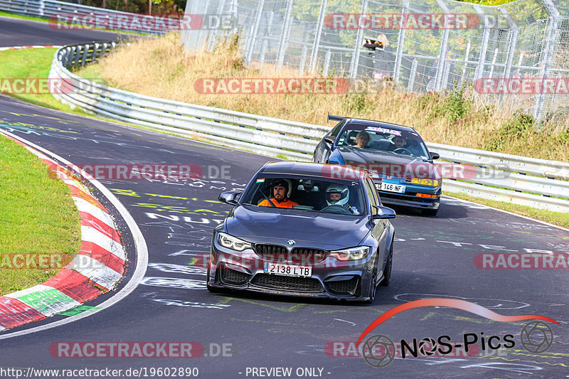 Bild #19602890 - Touristenfahrten Nürburgring Nordschleife (16.10.2022)