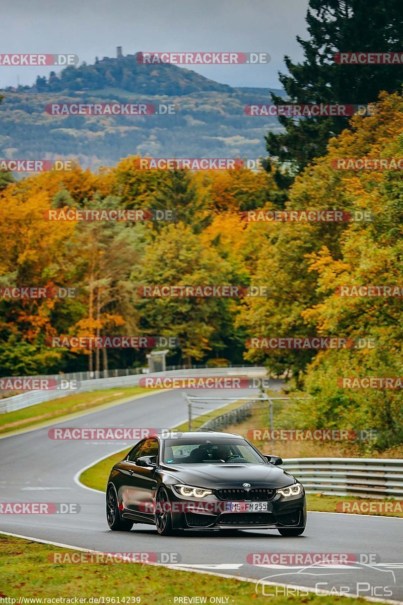 Bild #19614239 - Touristenfahrten Nürburgring Nordschleife (16.10.2022)