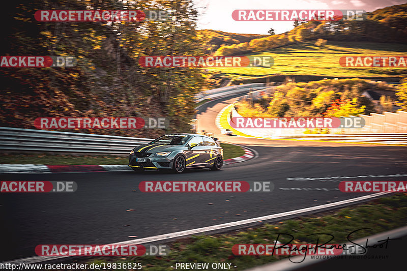 Bild #19836825 - Touristenfahrten Nürburgring Nordschleife (01.11.2022)