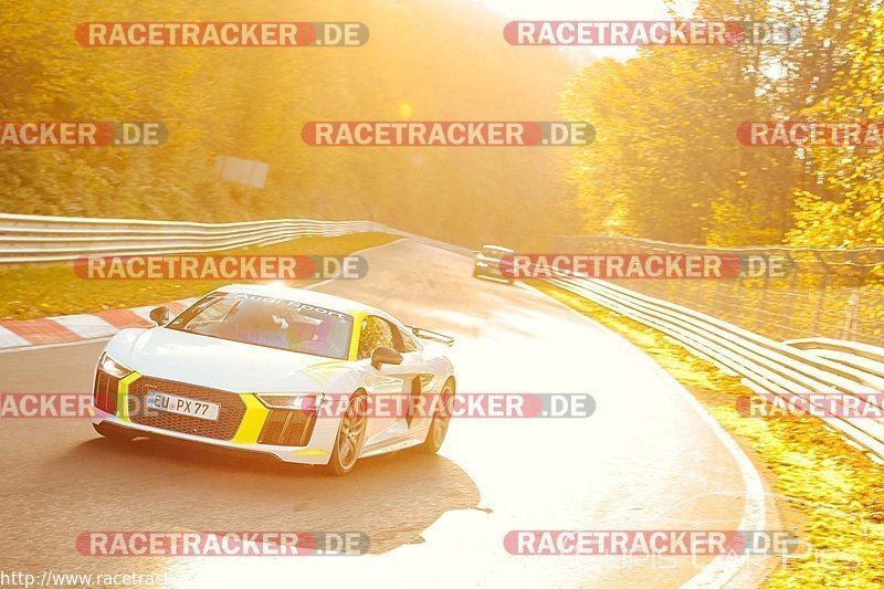 Bild #19840950 - Touristenfahrten Nürburgring Nordschleife (01.11.2022)