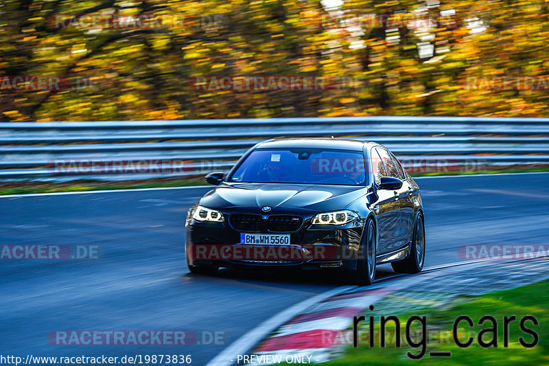 Bild #19873836 - Touristenfahrten Nürburgring Nordschleife (01.11.2022)