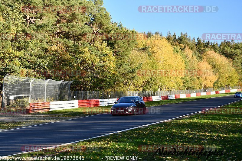 Bild #19873841 - Touristenfahrten Nürburgring Nordschleife (01.11.2022)