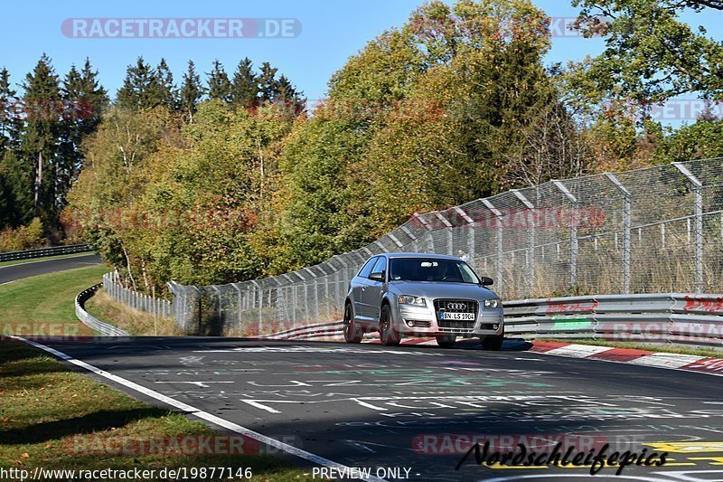 Bild #19877146 - Touristenfahrten Nürburgring Nordschleife (01.11.2022)