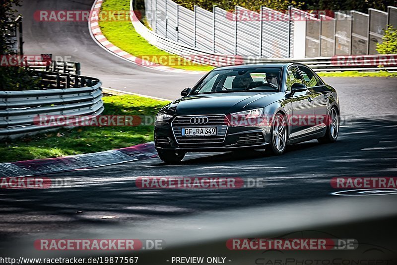 Bild #19877567 - Touristenfahrten Nürburgring Nordschleife (01.11.2022)