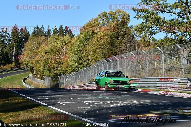 Bild #19877731 - Touristenfahrten Nürburgring Nordschleife (01.11.2022)