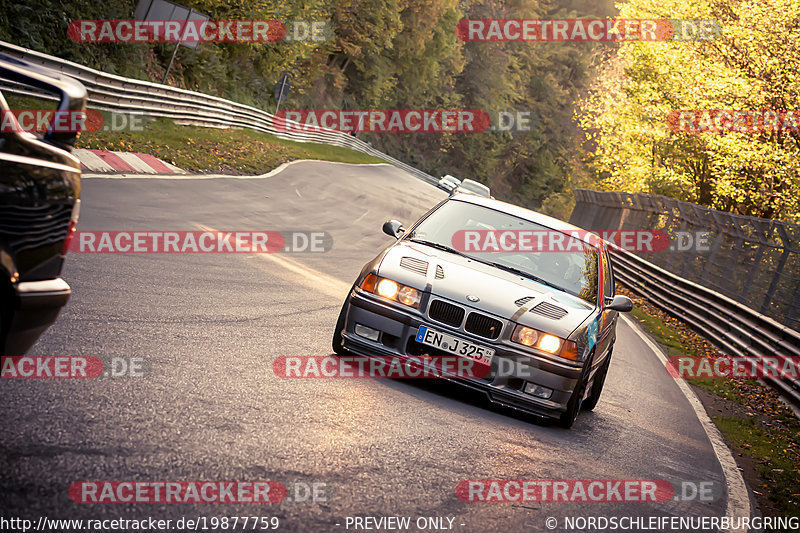 Bild #19877759 - Touristenfahrten Nürburgring Nordschleife (01.11.2022)