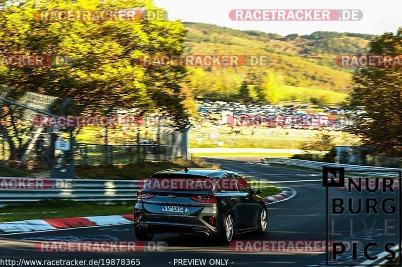 Bild #19878365 - Touristenfahrten Nürburgring Nordschleife (01.11.2022)