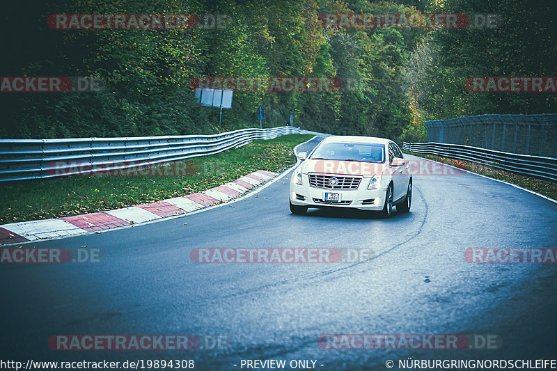 Bild #19894308 - Touristenfahrten Nürburgring Nordschleife (01.11.2022)