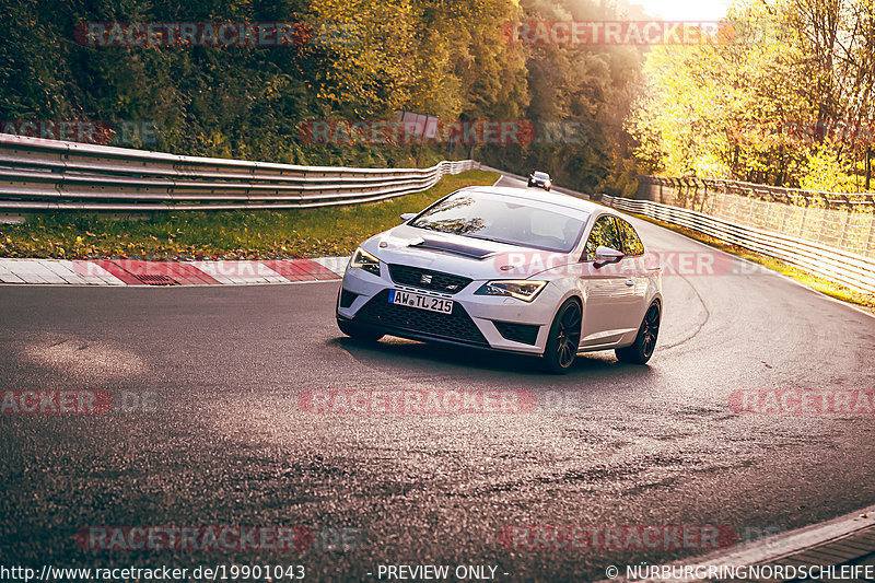 Bild #19901043 - Touristenfahrten Nürburgring Nordschleife (01.11.2022)