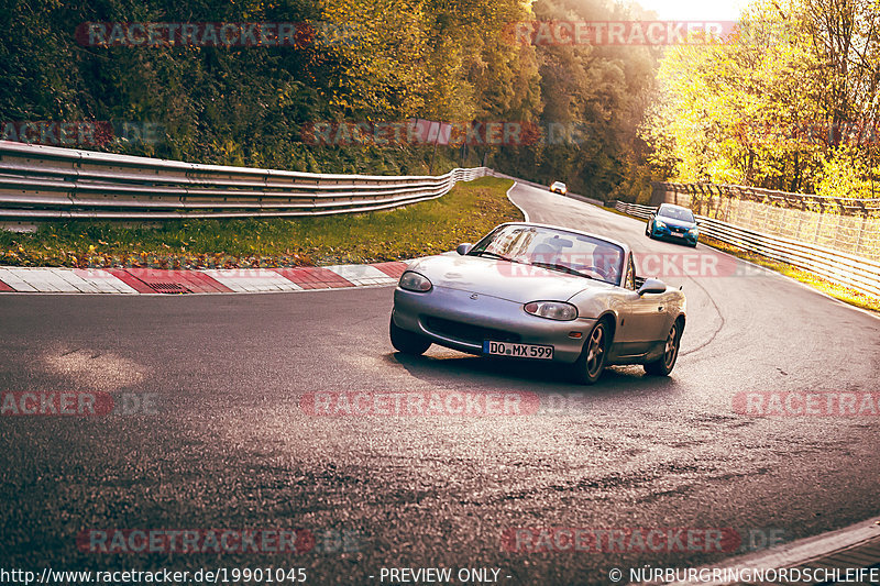 Bild #19901045 - Touristenfahrten Nürburgring Nordschleife (01.11.2022)