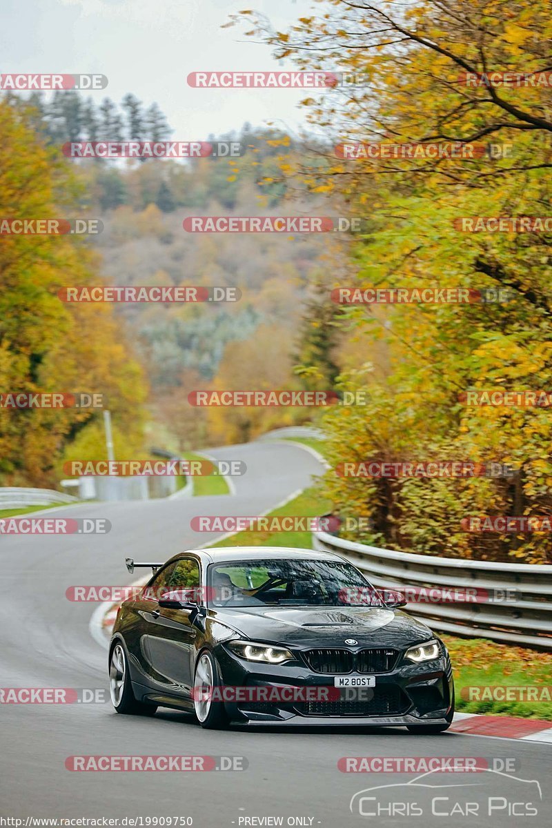 Bild #19909750 - Touristenfahrten Nürburgring Nordschleife (06.11.2022)