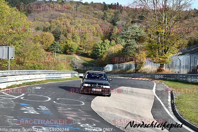 Bild #19920246 - Touristenfahrten Nürburgring Nordschleife (06.11.2022)