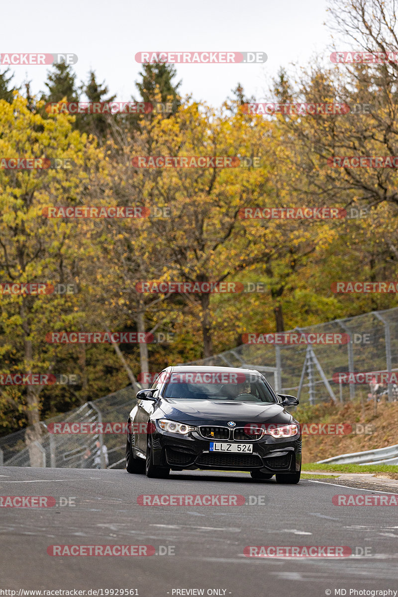 Bild #19929561 - Touristenfahrten Nürburgring Nordschleife (06.11.2022)