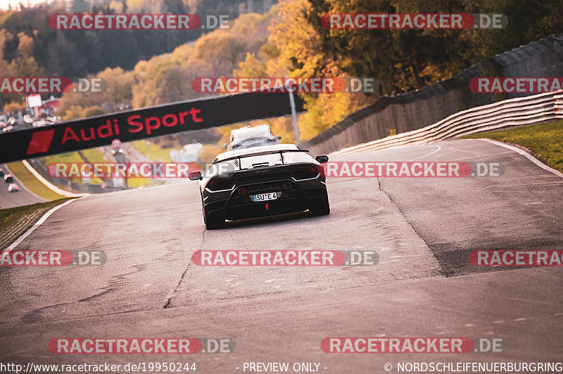 Bild #19950244 - Touristenfahrten Nürburgring Nordschleife (12.11.2022)