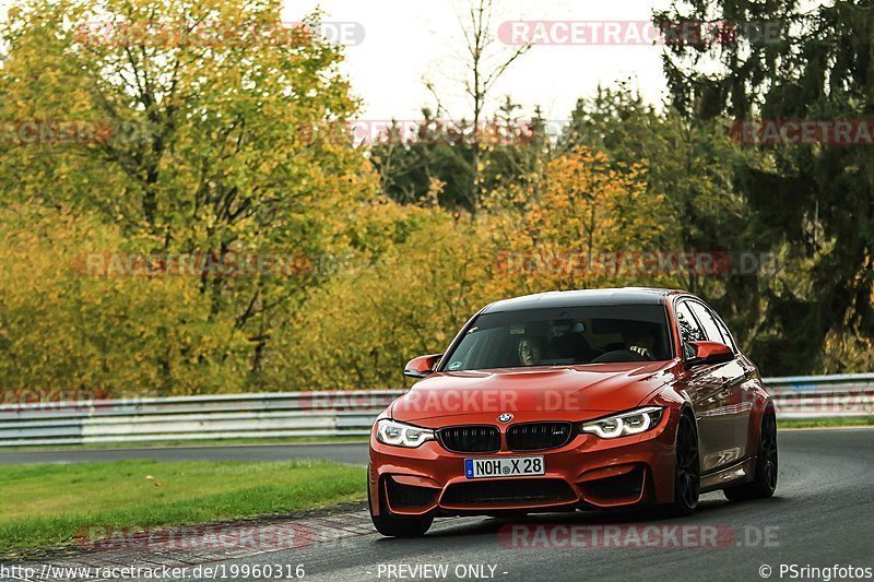 Bild #19960316 - Touristenfahrten Nürburgring Nordschleife (12.11.2022)